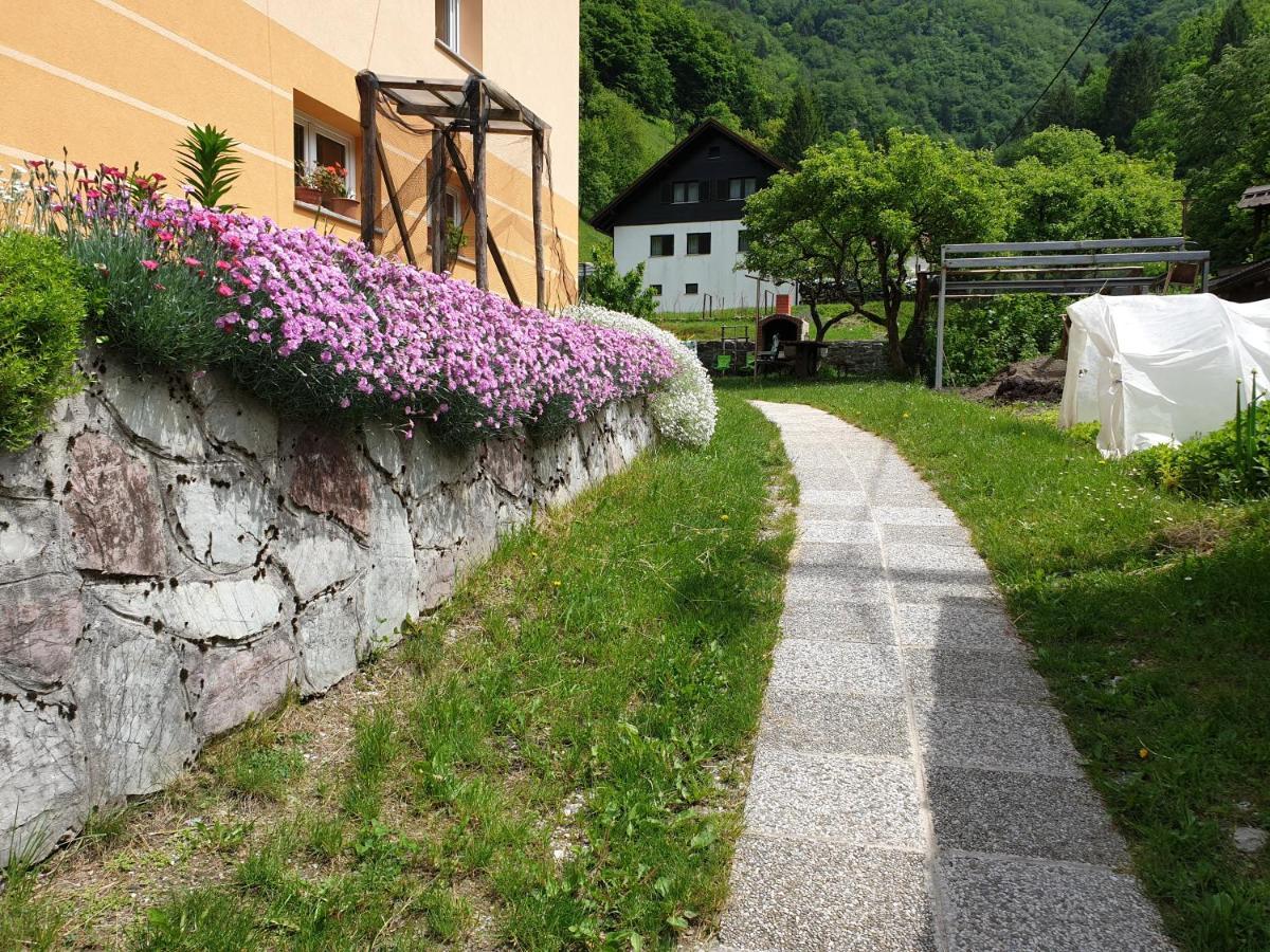 Apartment And Garden House Among The Mountains Podbrdo Exterior foto